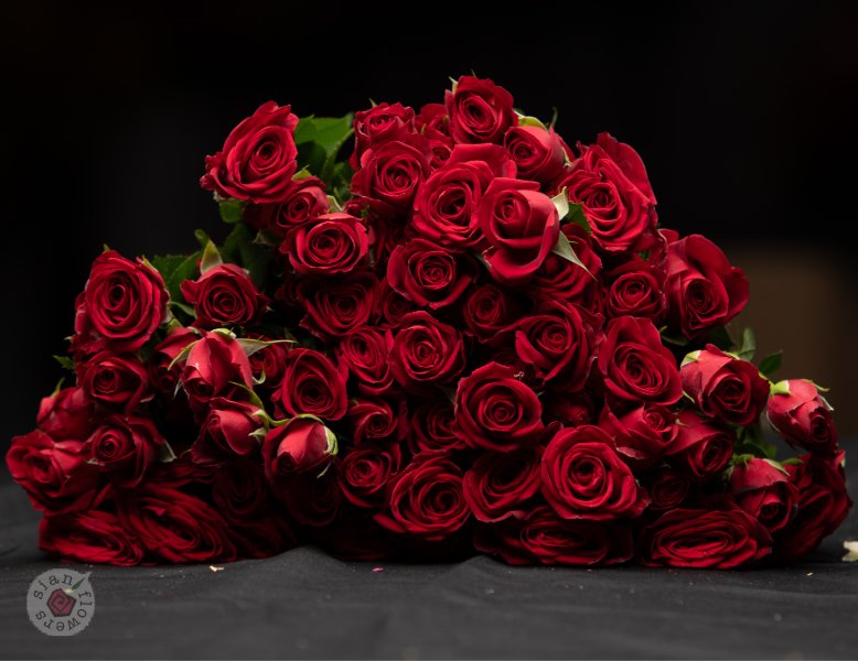 Pink Roses